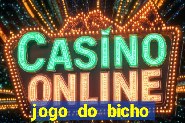 jogo do bicho crash bingo